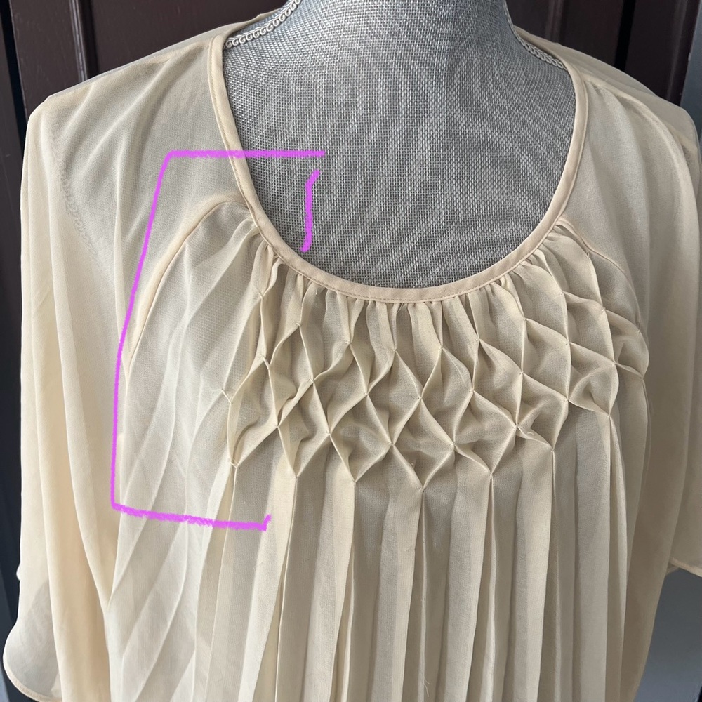 Meadow Rue Pleated Sheer Flyaway Blouse - Picture 2 of 12